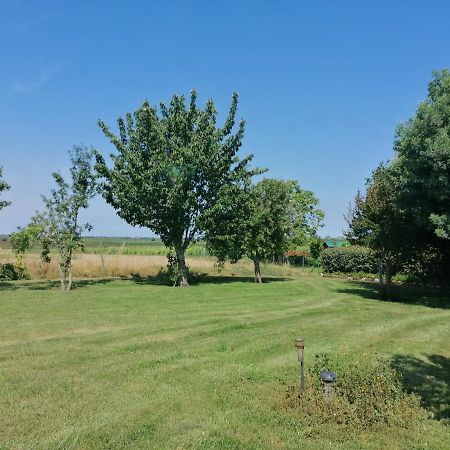 Nuit Au Calme Saint-Bonnet-sur-Gironde Eksteriør billede